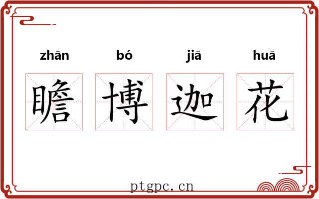 瞻博迦花