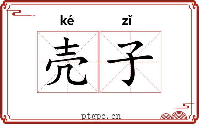 壳子 壳子