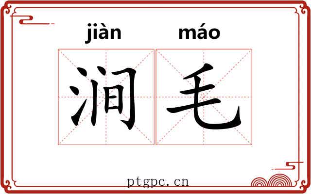 涧毛