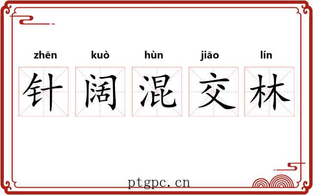 针阔混交林 针阔混交林