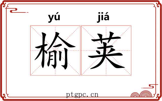 榆荚 榆荚
