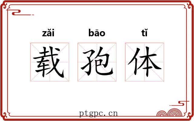 载孢体 载孢体