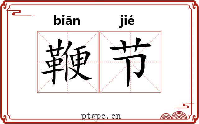 鞭节 鞭节