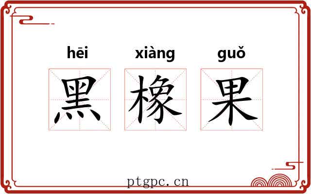 黑橡果 黑橡果
