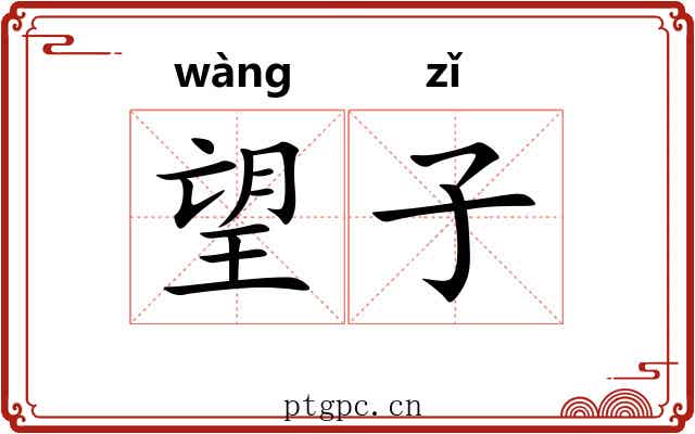 望子 望子