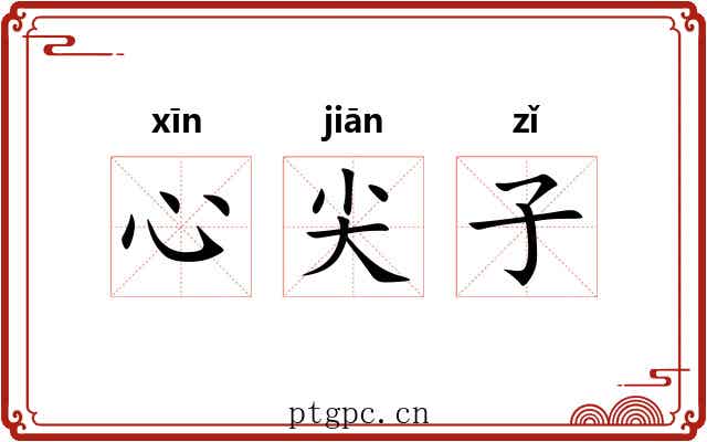 心尖子 心尖子