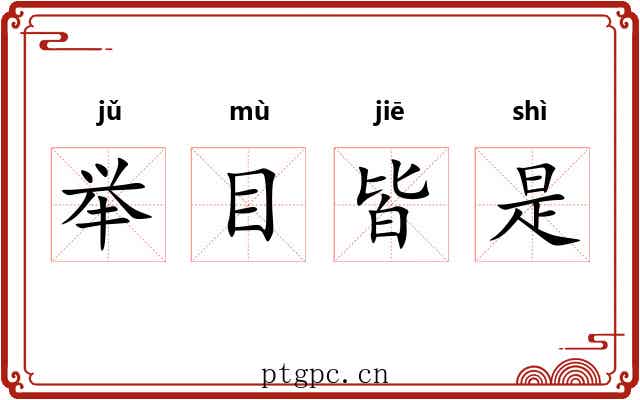 举目皆是 举目皆是