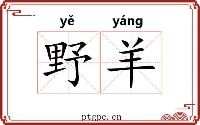 野羊