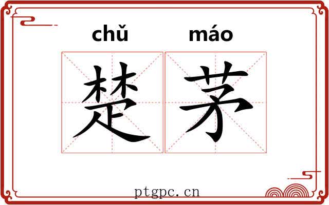 楚茅 楚茅