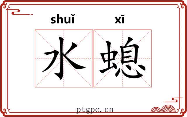 水螅