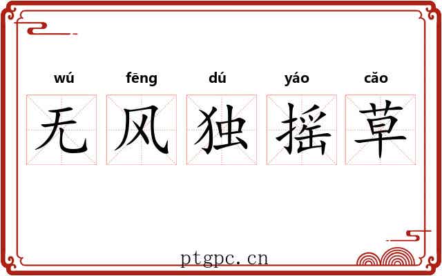 无风独摇草 无风独摇草