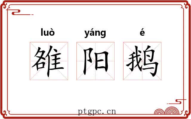 雒阳鹅 雒阳鹅