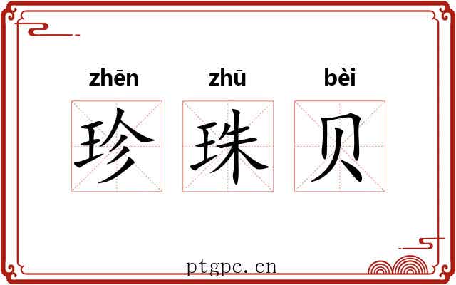 珍珠贝 珍珠贝