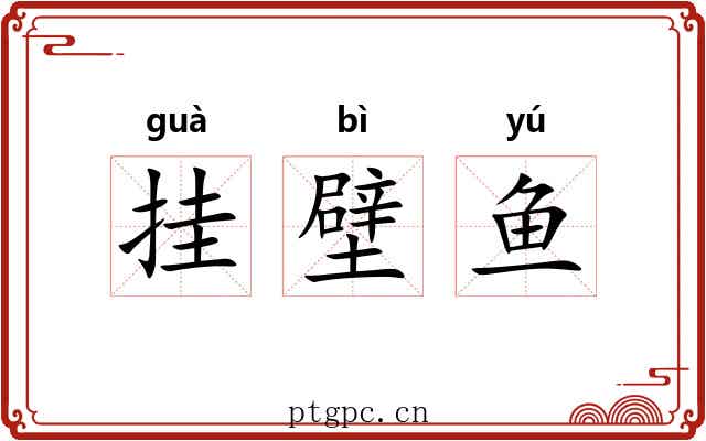 挂壁鱼