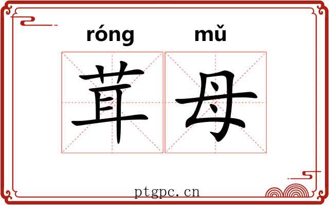 茸母