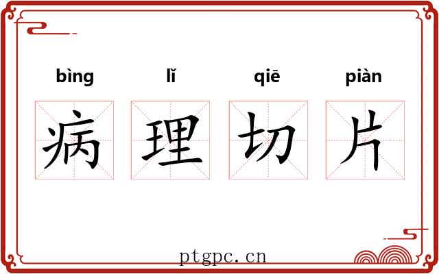 病理切片 病理切片