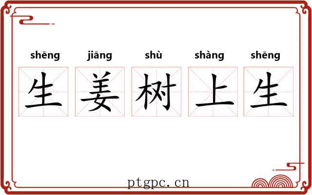 生姜树上生