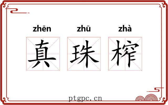 真珠榨 真珠榨
