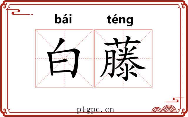 白藤