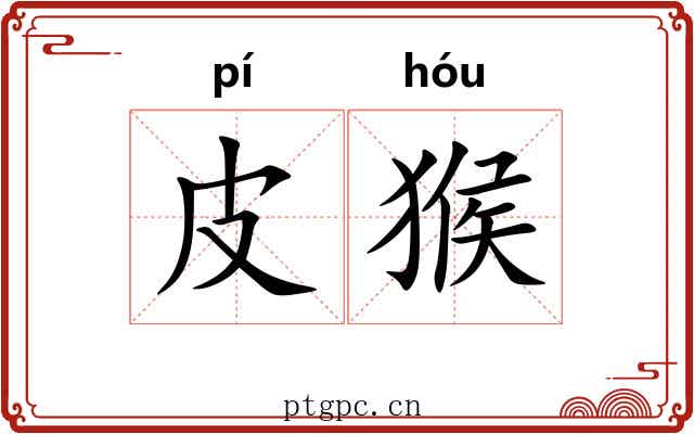 皮猴