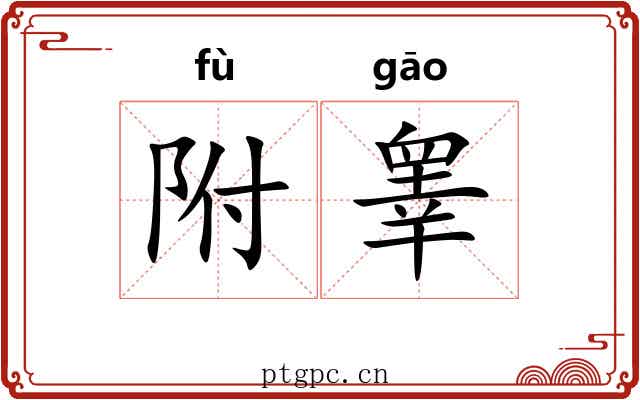 附睾