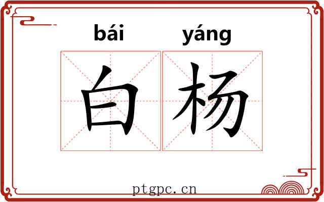 白杨 白杨