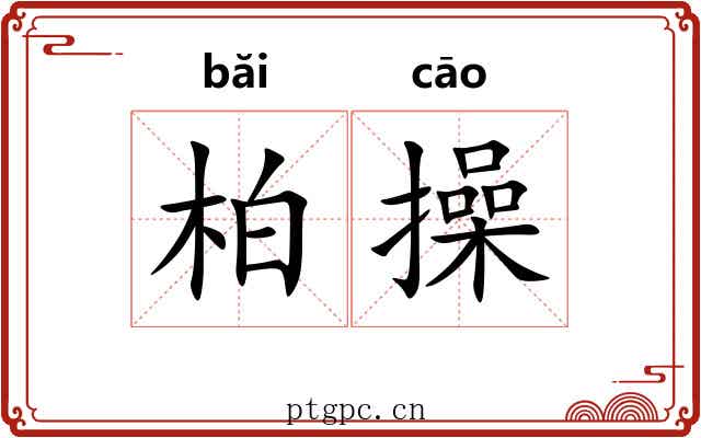 柏操 柏操