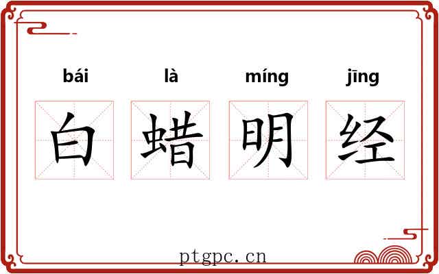 白蜡明经 白蜡明经