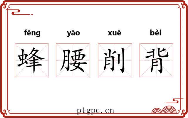 蜂腰削背 蜂腰削背