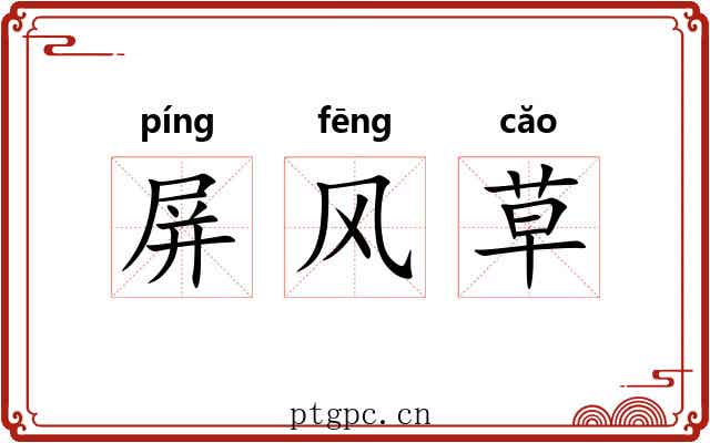 屏风草 屏风草
