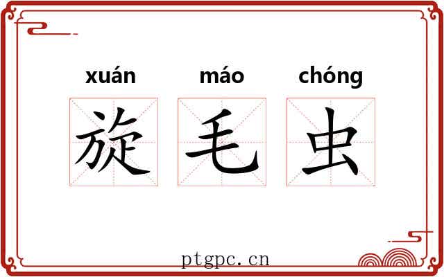 旋毛虫