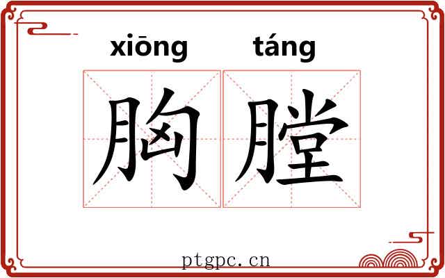 胸膛