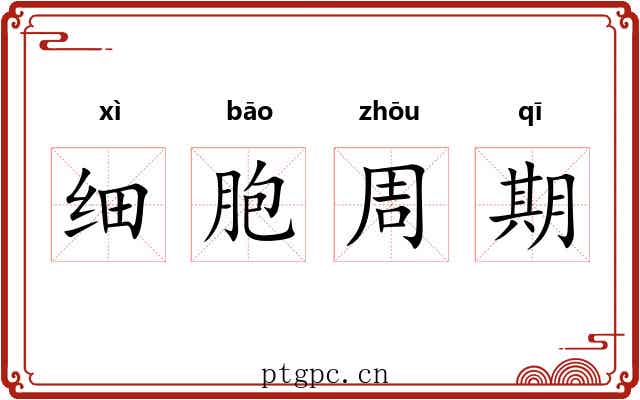 细胞周期 细胞周期