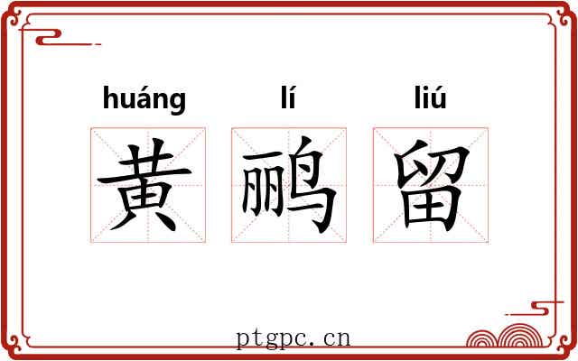 黄鹂留 黄鹂留