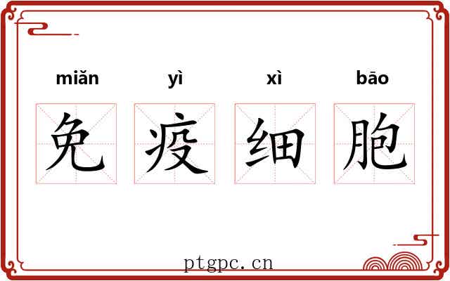 免疫细胞 免疫细胞