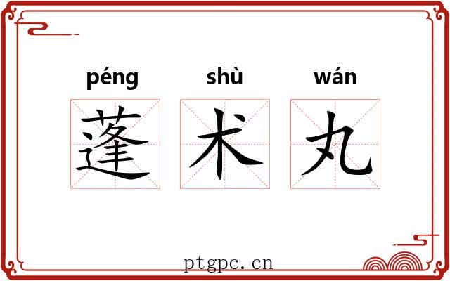 蓬术丸 蓬术丸