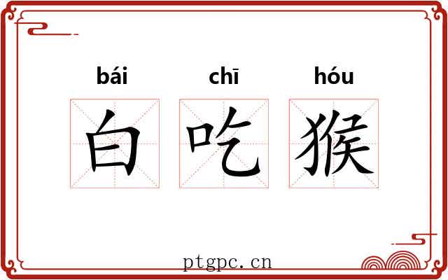 白吃猴 白吃猴