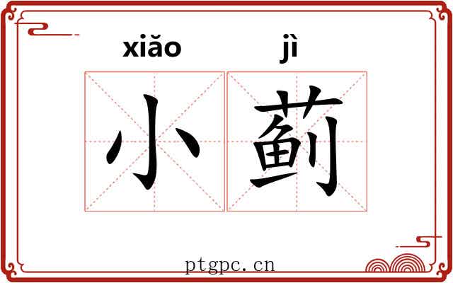 小蓟