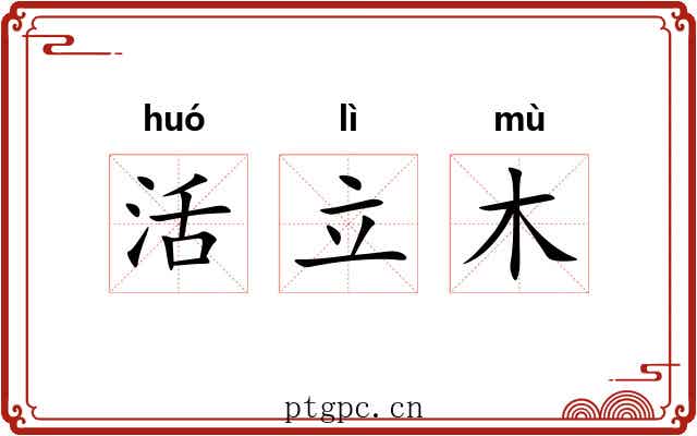 活立木 活立木
