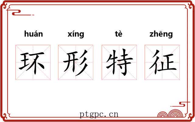 环形特征 环形特征