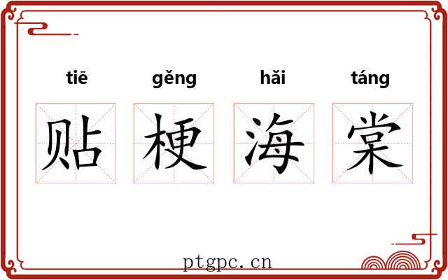 贴梗海棠