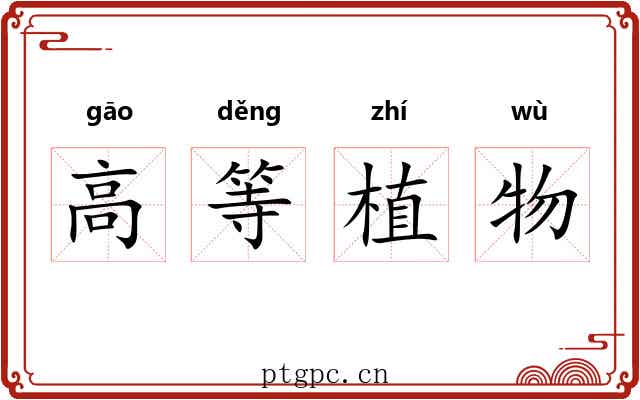 高等植物