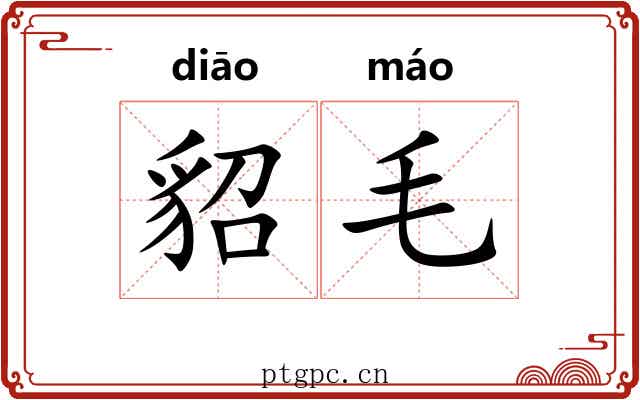 貂毛 貂毛
