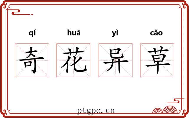 奇花异草 奇花异草