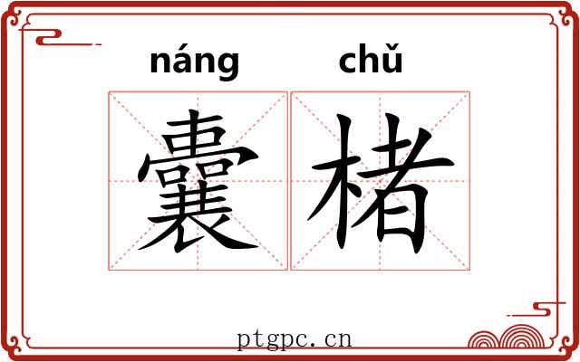 囊楮