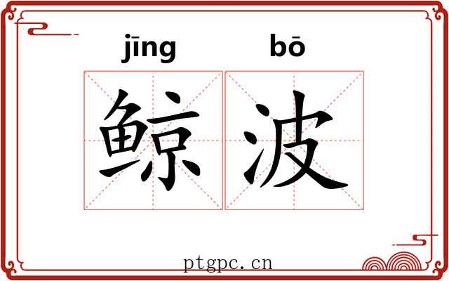 鲸波