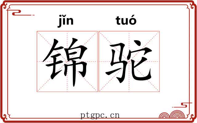锦驼