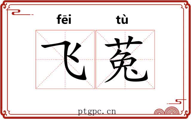 飞菟