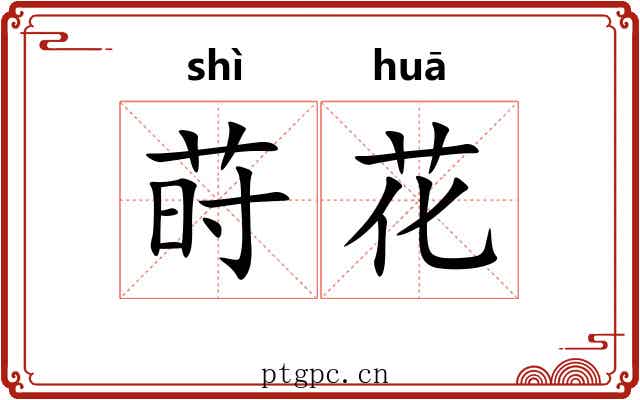 莳花 莳花