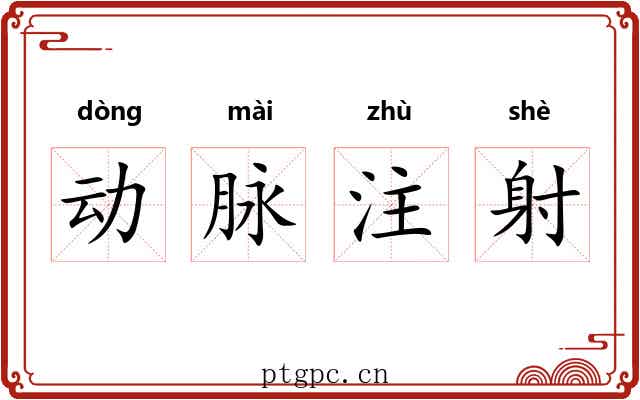 动脉注射 动脉注射